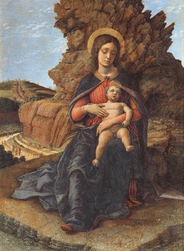 Andrea Mantegna Madonna and Child Norge oil painting art